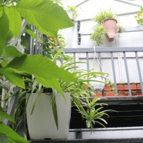 Viện Dưỡng Lão Ngôi Nhà Ấm Áp