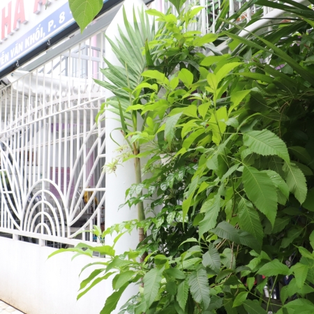 Viện Dưỡng Lão Ngôi Nhà Ấm Áp