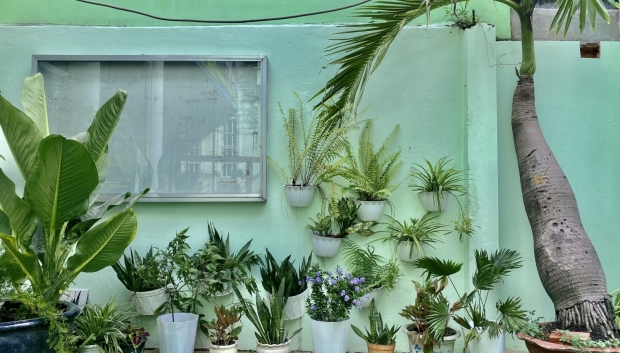 Viện Dưỡng Lão Ngôi Nhà Ấm Áp