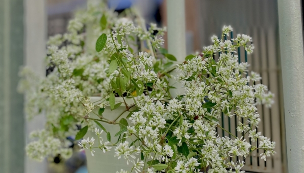 Viện Dưỡng Lão Ngôi Nhà Ấm Áp